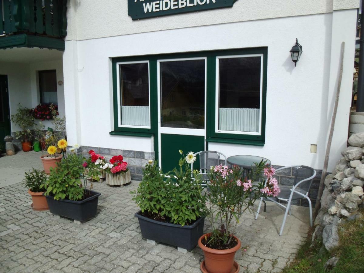 Weideblick Apartment Тауплиц Екстериор снимка