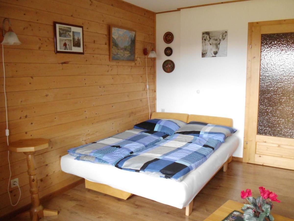 Weideblick Apartment Тауплиц Екстериор снимка